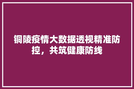 铜陵疫情大数据透视精准防控，共筑健康防线
