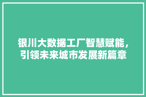 银川大数据工厂智慧赋能，引领未来城市发展新篇章 电脑配置