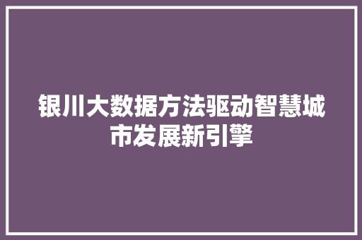 银川大数据方法驱动智慧城市发展新引擎