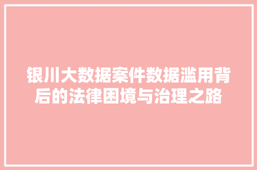 银川大数据案件数据滥用背后的法律困境与治理之路 编程语言