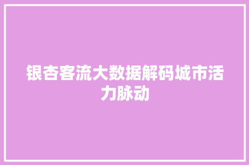银杏客流大数据解码城市活力脉动