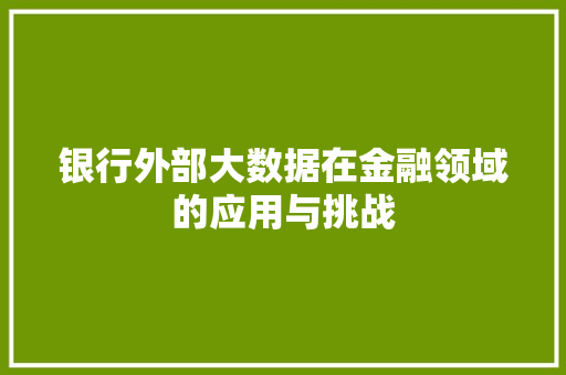 银行外部大数据在金融领域的应用与挑战
