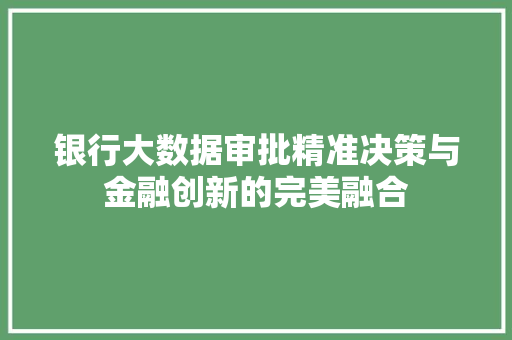 银行大数据审批精准决策与金融创新的完美融合