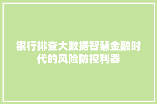 银行排查大数据智慧金融时代的风险防控利器