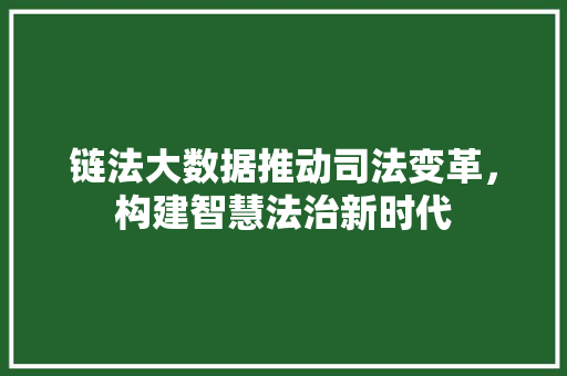 链法大数据推动司法变革，构建智慧法治新时代