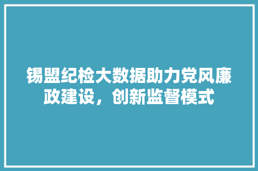 锡盟纪检大数据助力党风廉政建设，创新监督模式