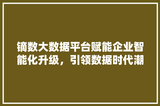 镝数大数据平台赋能企业智能化升级，引领数据时代潮流 电脑基础
