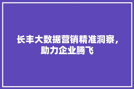 长丰大数据营销精准洞察，助力企业腾飞