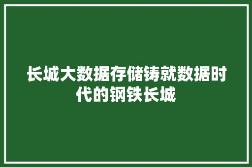 长城大数据存储铸就数据时代的钢铁长城