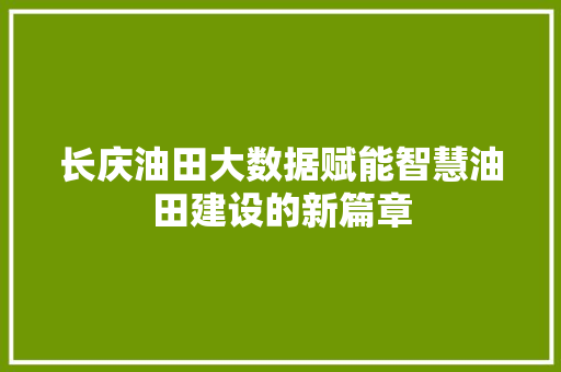 长庆油田大数据赋能智慧油田建设的新篇章
