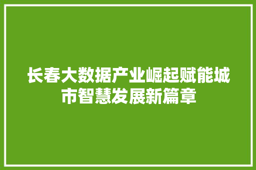 长春大数据产业崛起赋能城市智慧发展新篇章