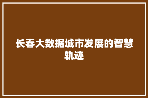 长春大数据城市发展的智慧轨迹