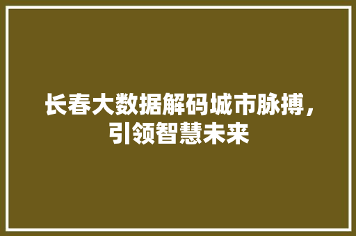 长春大数据解码城市脉搏，引领智慧未来