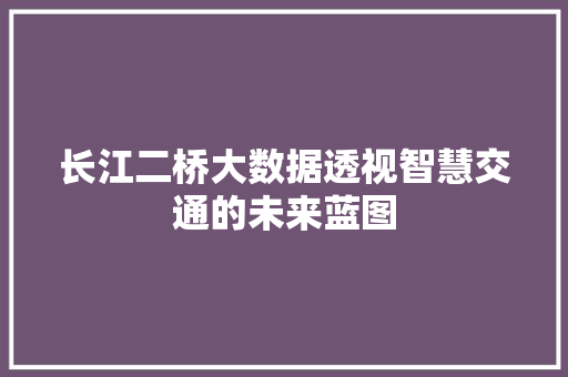 长江二桥大数据透视智慧交通的未来蓝图