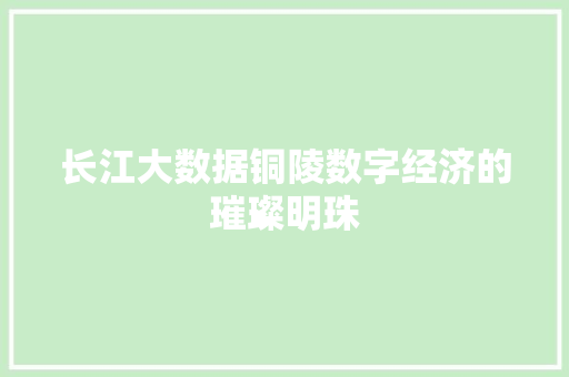 长江大数据铜陵数字经济的璀璨明珠
