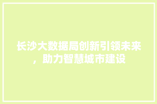 长沙大数据局创新引领未来，助力智慧城市建设