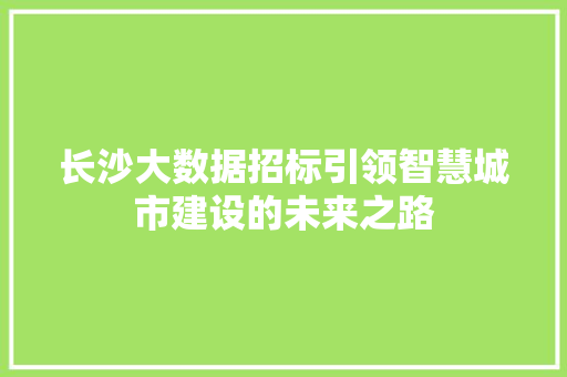 长沙大数据招标引领智慧城市建设的未来之路