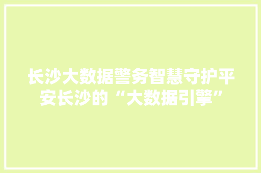 长沙大数据警务智慧守护平安长沙的“大数据引擎”