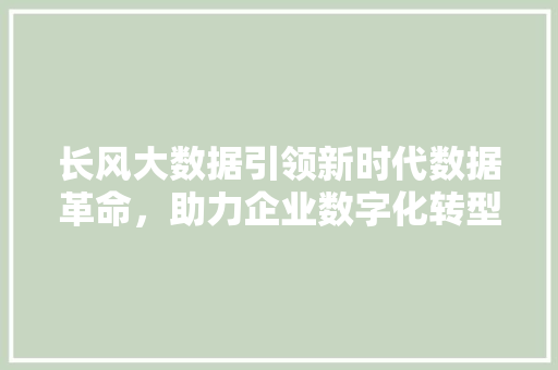 长风大数据引领新时代数据革命，助力企业数字化转型