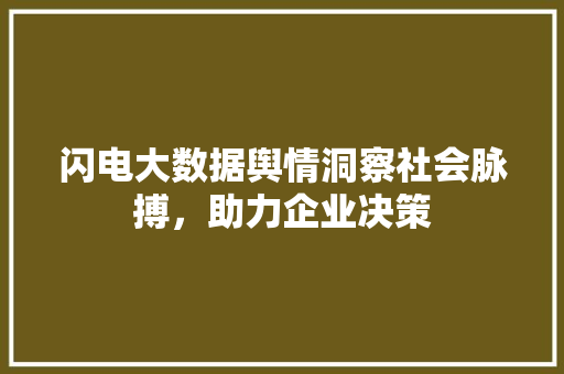 闪电大数据舆情洞察社会脉搏，助力企业决策