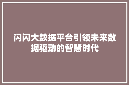 闪闪大数据平台引领未来数据驱动的智慧时代