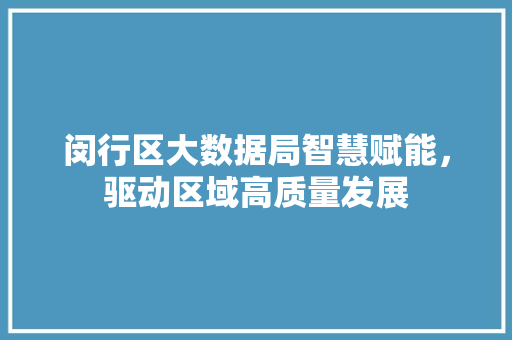 闵行区大数据局智慧赋能，驱动区域高质量发展