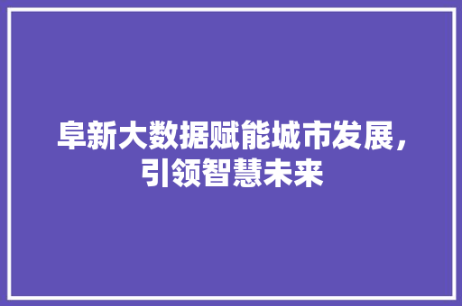 阜新大数据赋能城市发展，引领智慧未来
