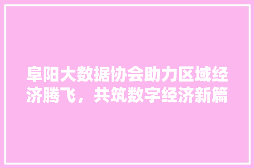 阜阳大数据协会助力区域经济腾飞，共筑数字经济新篇章