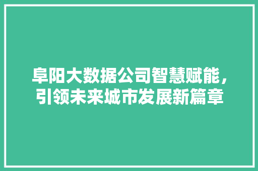 阜阳大数据公司智慧赋能，引领未来城市发展新篇章