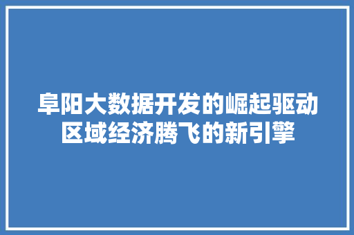阜阳大数据开发的崛起驱动区域经济腾飞的新引擎