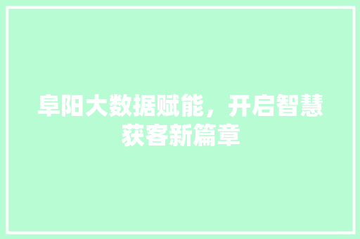 阜阳大数据赋能，开启智慧获客新篇章