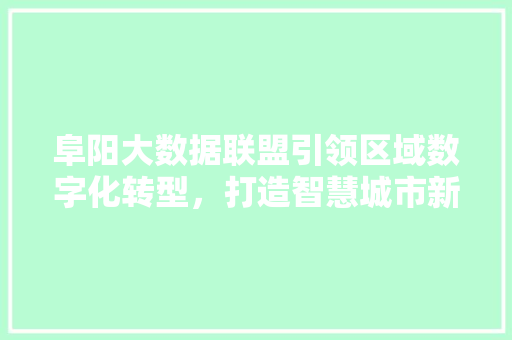 阜阳大数据联盟引领区域数字化转型，打造智慧城市新典范