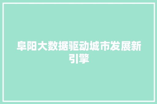 阜阳大数据驱动城市发展新引擎