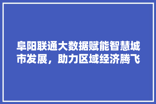 阜阳联通大数据赋能智慧城市发展，助力区域经济腾飞