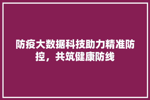 防疫大数据科技助力精准防控，共筑健康防线