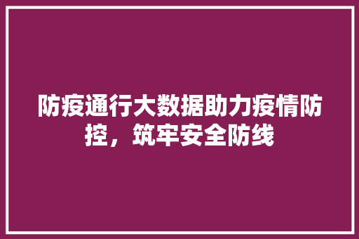 防疫通行大数据助力疫情防控，筑牢安全防线