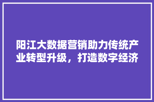 阳江大数据营销助力传统产业转型升级，打造数字经济新引擎
