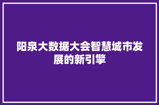 阳泉大数据大会智慧城市发展的新引擎