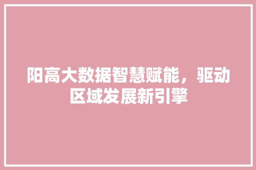 阳高大数据智慧赋能，驱动区域发展新引擎
