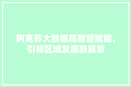 阿克苏大数据局智慧赋能，引领区域发展新篇章