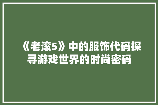 《老滚5》中的服饰代码探寻游戏世界的时尚密码