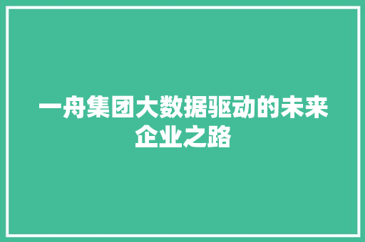 一舟集团大数据驱动的未来企业之路