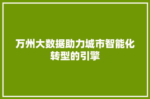 万州大数据助力城市智能化转型的引擎