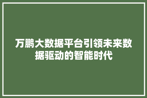 万鹏大数据平台引领未来数据驱动的智能时代