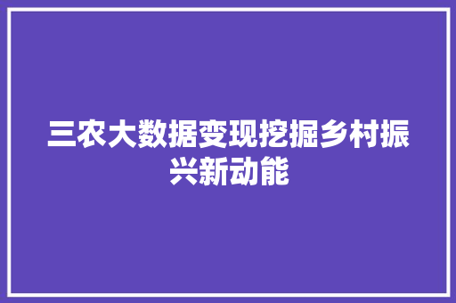 三农大数据变现挖掘乡村振兴新动能