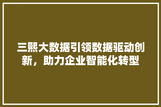三熙大数据引领数据驱动创新，助力企业智能化转型