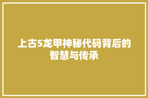 上古5龙甲神秘代码背后的智慧与传承