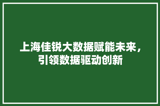 上海佳锐大数据赋能未来，引领数据驱动创新