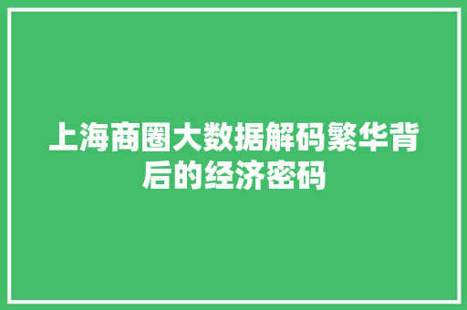 上海商圈大数据解码繁华背后的经济密码