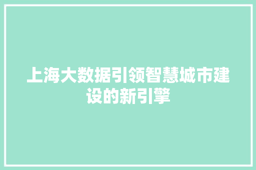 上海大数据引领智慧城市建设的新引擎